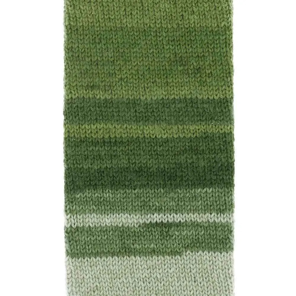 Fil à chaussettes Scheepjes Arcadia