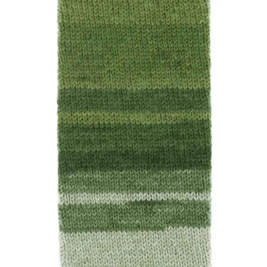 Fil à chaussettes Scheepjes Arcadia