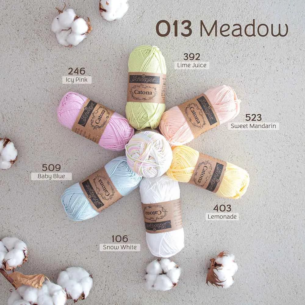 Fil 100% coton mercerisé Scheepjes Catona Chroma