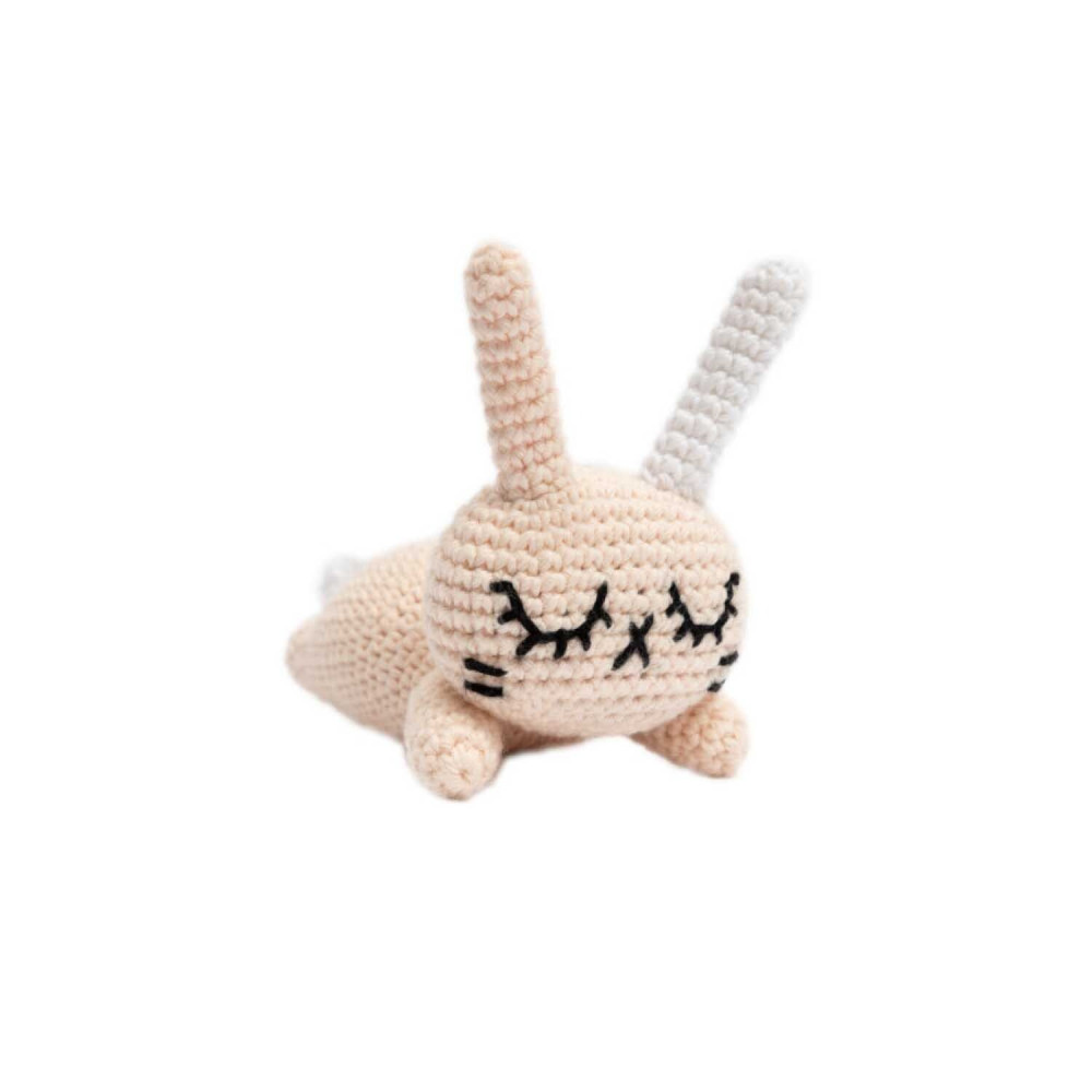 Fil spécial amigurumis Rico Design Creative Ricorumi DK
