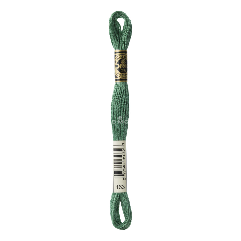 Mouliné spécial DMC 117MC - Nuances bleu / vert