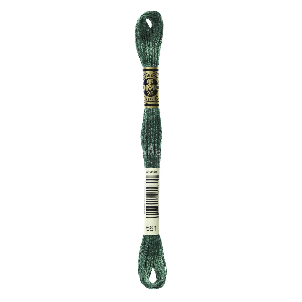Mouliné spécial DMC 117MC - Nuances bleu / vert