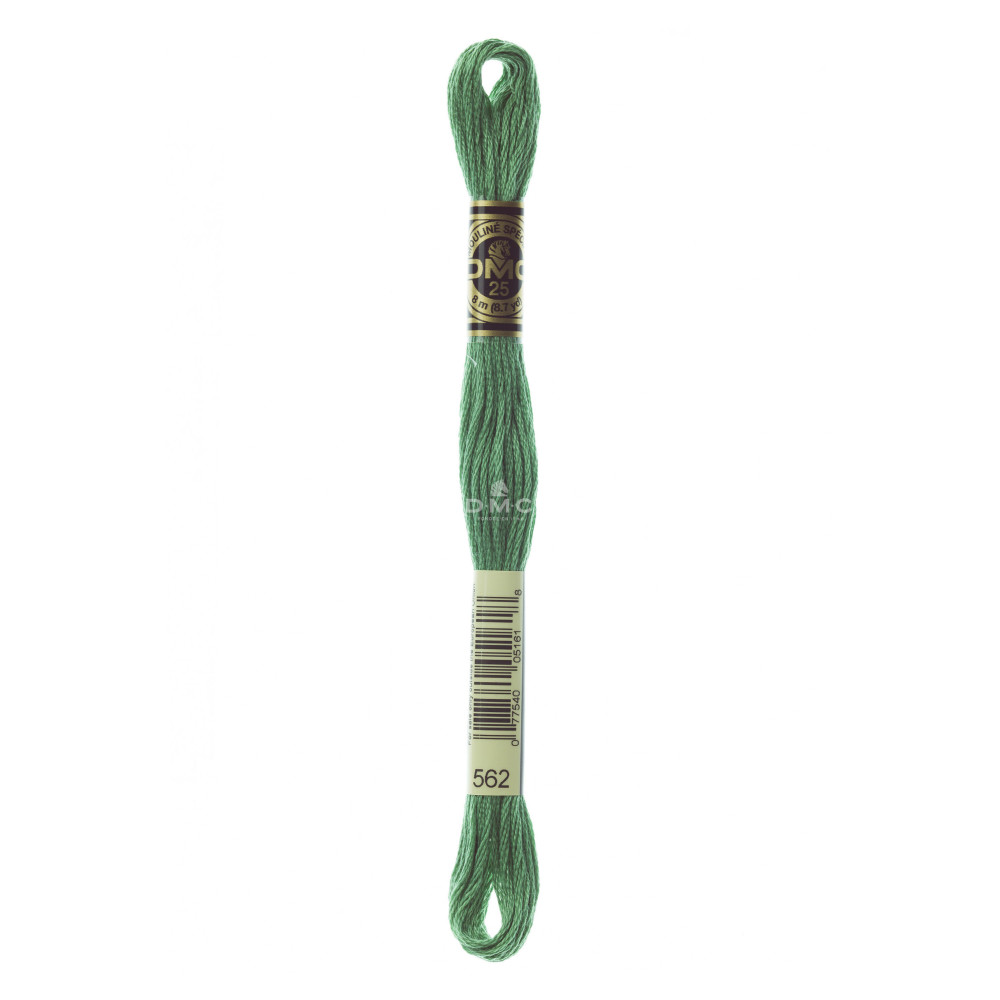 Mouliné spécial DMC 117MC - Nuances bleu / vert