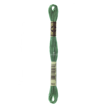 Mouliné spécial DMC 117MC - Nuances bleu / vert