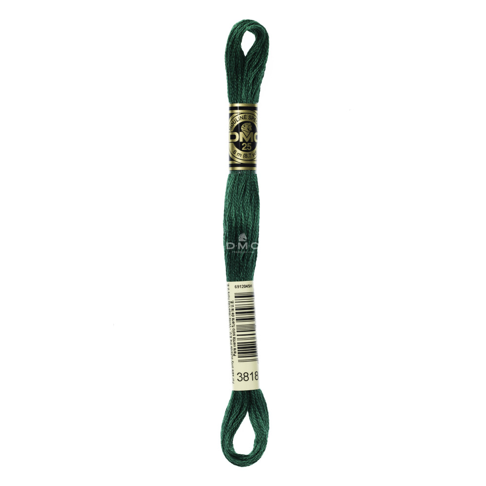 Mouliné spécial DMC 117MC - Nuances bleu / vert
