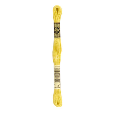 Mouliné spécial DMC 117MC - Nuances vert / marron / jaune / rouge