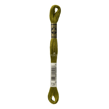 Mouliné spécial DMC 117MC - Nuances vert / marron / jaune / rouge