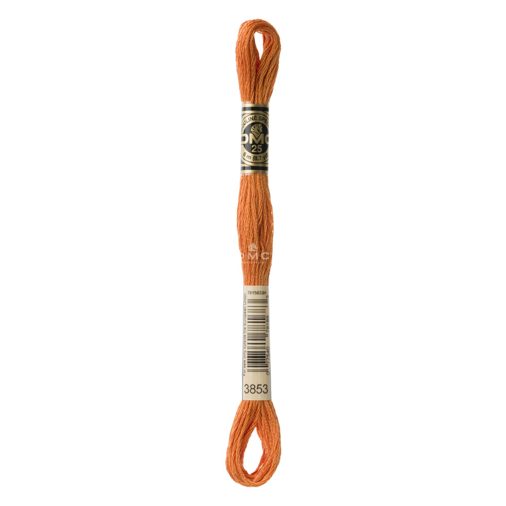 Mouliné spécial DMC 117MC - Nuances vert / marron / jaune / rouge