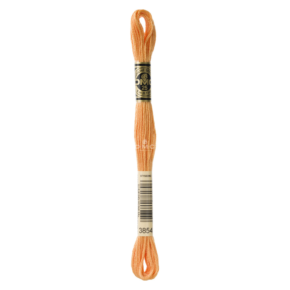 Mouliné spécial DMC 117MC - Nuances vert / marron / jaune / rouge