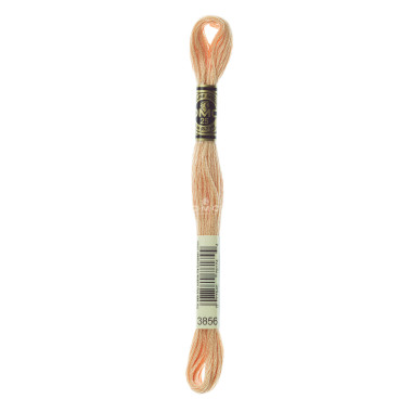 Mouliné spécial DMC 117MC - Nuances orange / marron / blanc / noir
