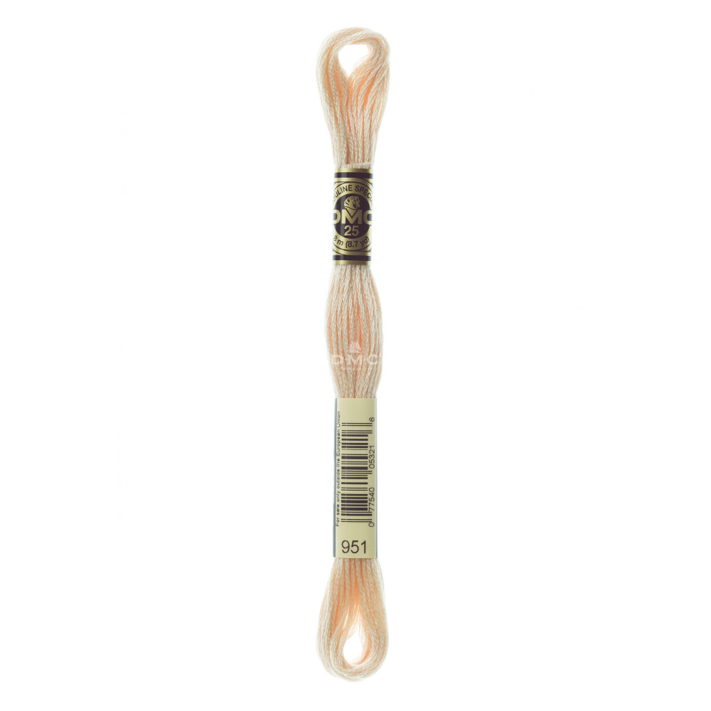 Mouliné spécial DMC 117MC - Nuances orange / marron / blanc / noir