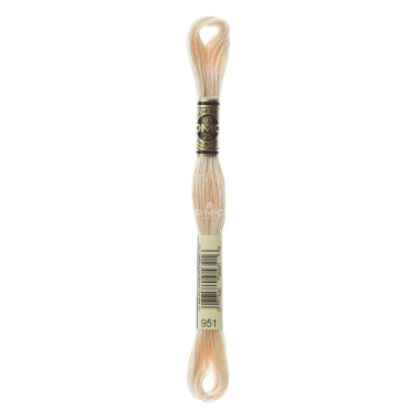 Mouliné spécial DMC 117MC - Nuances orange / marron / blanc / noir