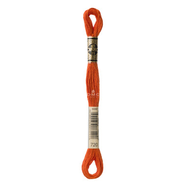Mouliné spécial DMC 117MC - Nuances orange / marron / blanc / noir