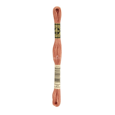 Mouliné spécial DMC 117MC - Nuances orange / marron / blanc / noir