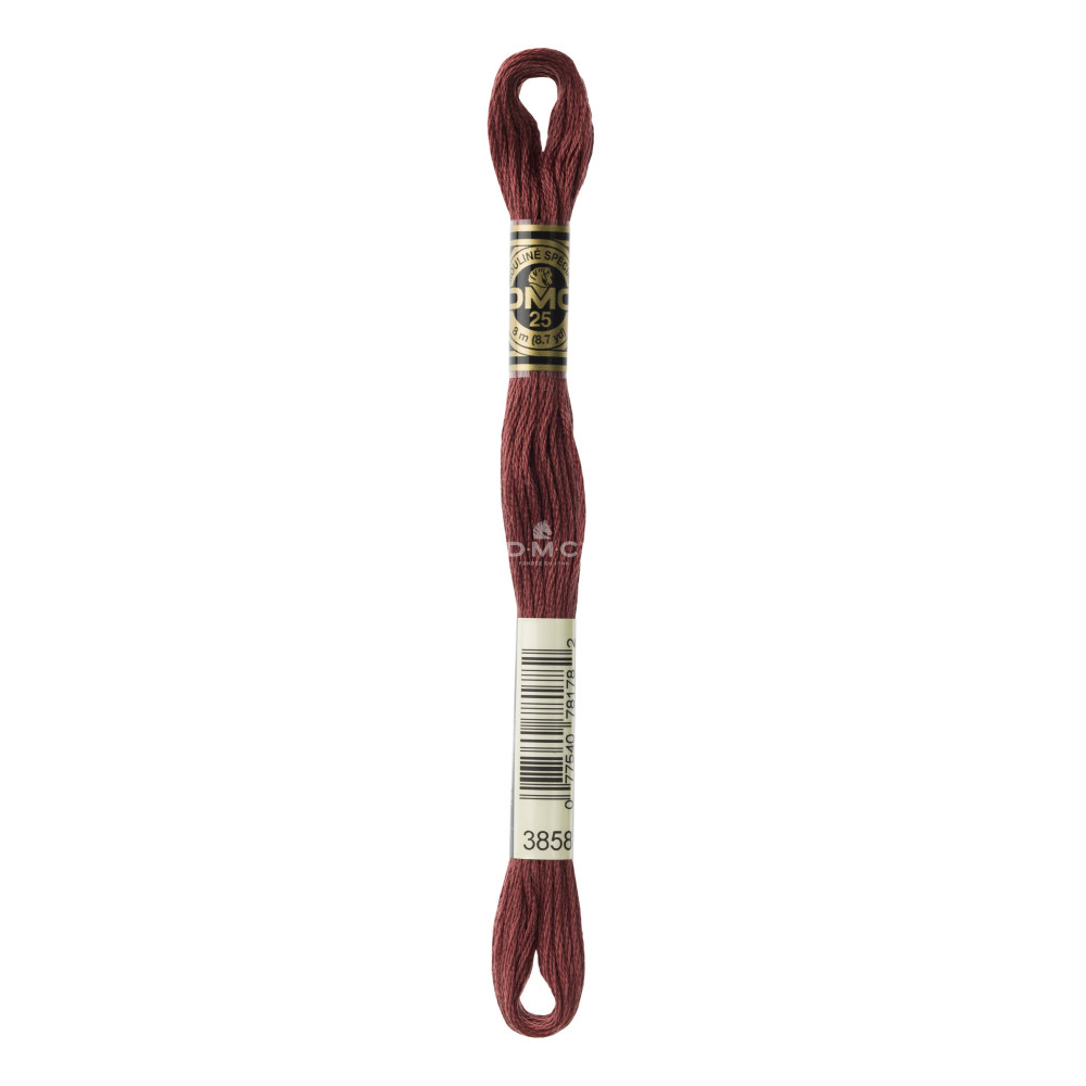 Mouliné spécial DMC 117MC - Nuances orange / marron / blanc / noir