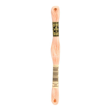 Mouliné spécial DMC 117MC - Nuances orange / marron / blanc / noir