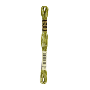 Mouliné spécial DMC 117MC - Coloris nuancés